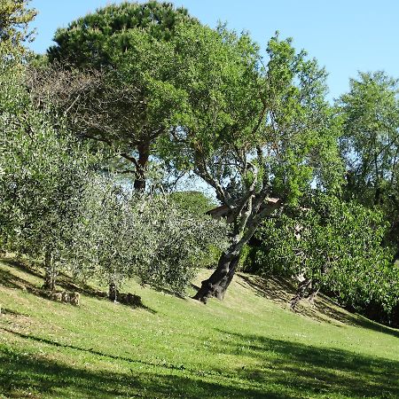 モンテスペルトリ Santa Maria Della Pace Bed & Breakfast エクステリア 写真
