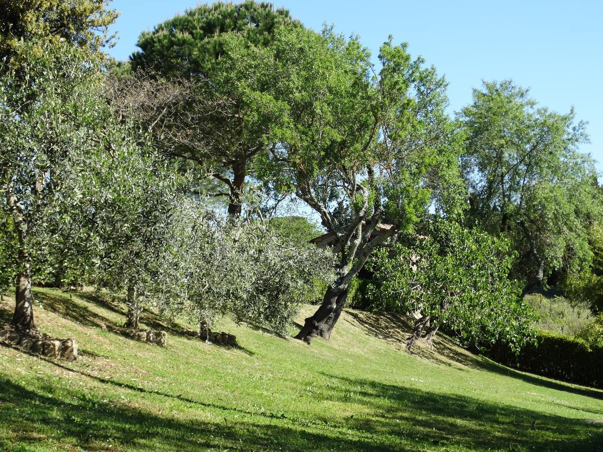モンテスペルトリ Santa Maria Della Pace Bed & Breakfast エクステリア 写真